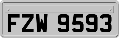 FZW9593