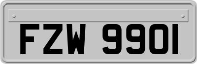 FZW9901