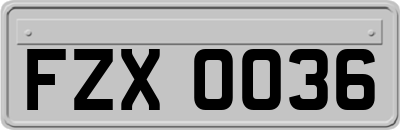 FZX0036