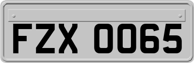 FZX0065