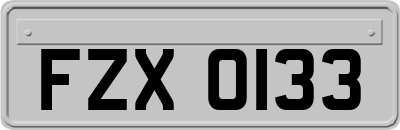FZX0133