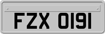 FZX0191