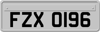 FZX0196