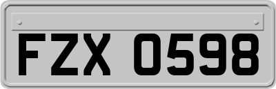 FZX0598