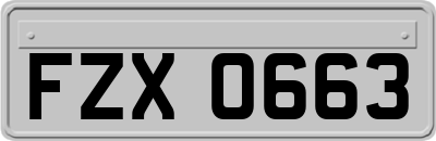 FZX0663