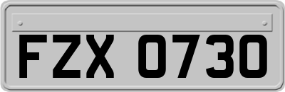 FZX0730