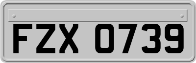 FZX0739
