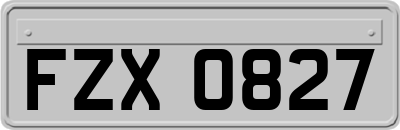 FZX0827