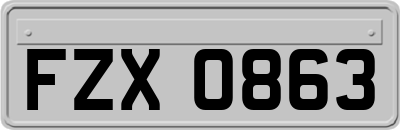 FZX0863