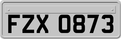 FZX0873