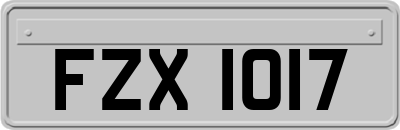 FZX1017