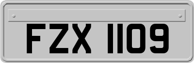 FZX1109