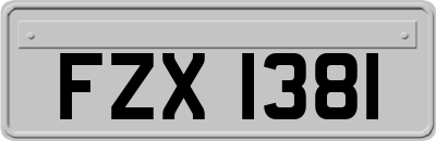 FZX1381