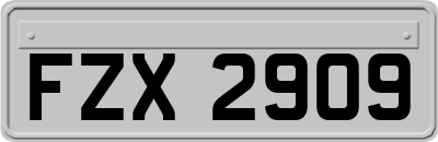FZX2909