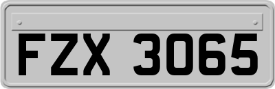 FZX3065