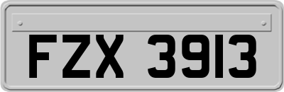 FZX3913