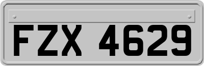 FZX4629