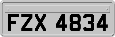 FZX4834