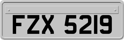 FZX5219