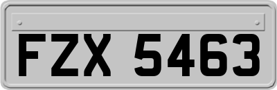 FZX5463