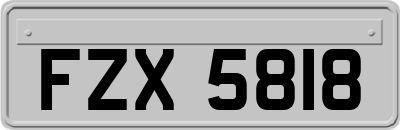 FZX5818