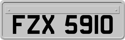FZX5910