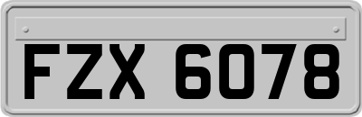 FZX6078