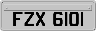 FZX6101