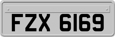 FZX6169