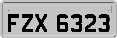 FZX6323