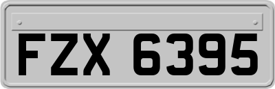 FZX6395