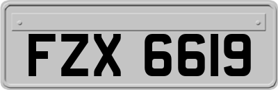 FZX6619