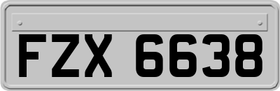 FZX6638