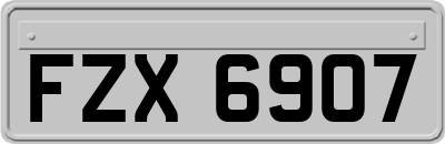 FZX6907