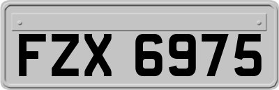 FZX6975