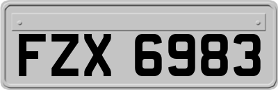 FZX6983