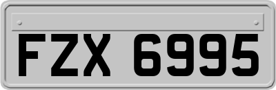 FZX6995