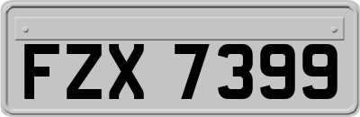 FZX7399