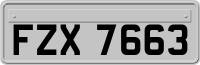 FZX7663