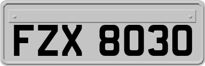 FZX8030