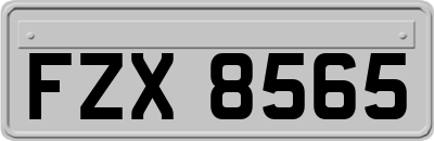 FZX8565
