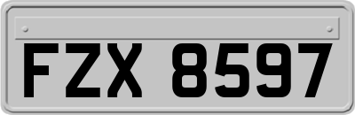 FZX8597