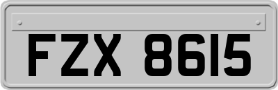 FZX8615