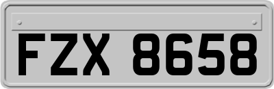 FZX8658