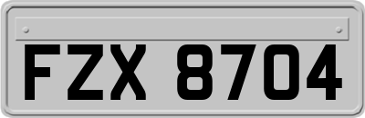 FZX8704