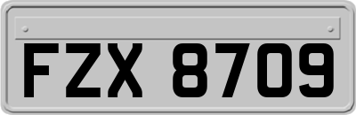 FZX8709