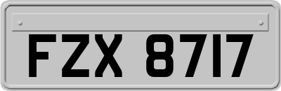 FZX8717