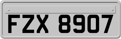 FZX8907