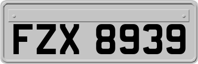 FZX8939