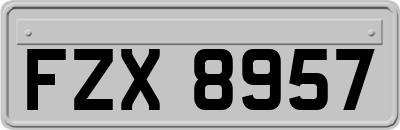 FZX8957